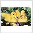 cross stitch pattern Two Ducklings