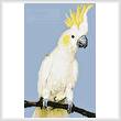 cross stitch pattern Mini Sulphur Crested Cockatoo