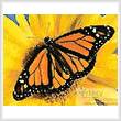 cross stitch pattern Mini Monarch Sunflower
