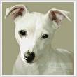 cross stitch pattern Miniature Jack Russell Terrier
