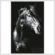 cross stitch pattern Private Dreamer Stallion