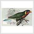 cross stitch pattern Ornate Lorikeet