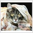 cross stitch pattern Peekaboo Cat