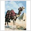 cross stitch pattern Pyramids and Camel
