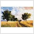 cross stitch pattern Path Through the Trees
