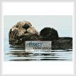 cross stitch pattern Sea Otter