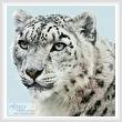 cross stitch pattern Snow Leopard Photo 