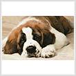 cross stitch pattern St Bernard Photo