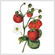 cross stitch pattern Strawberries