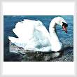 cross stitch pattern Swan