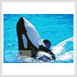 cross stitch pattern Whale 2