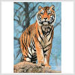 cross stitch pattern Amur Tiger Guard