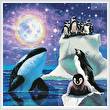 cross stitch pattern Arctic Dreams