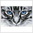 cross stitch pattern Blue Eyes 2