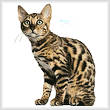 cross stitch pattern Bengal Cat