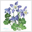 cross stitch pattern Columbine