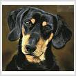 cross stitch pattern Dachshund Portrait