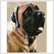 cross stitch pattern English Mastiff