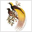 cross stitch pattern Greater Bird of Paradise
