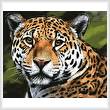 cross stitch pattern Jaguar Portrait