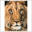 cross stitch pattern Lion Portrait