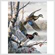 cross stitch pattern Lakeside Wood Ducks