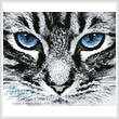 cross stitch pattern Mini Blue Eyes 2
