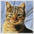 cross stitch pattern Mini Cat Fractal