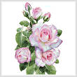 cross stitch pattern Morning Roses