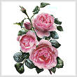 cross stitch pattern Pretty Pink Roses