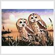 cross stitch pattern Tawny Owls