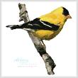cross stitch pattern American Gold Finch