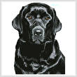 cross stitch pattern Black Labrador