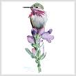 cross stitch pattern Calliope Hummingbird