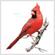 cross stitch pattern Cardinal