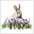 cross stitch pattern Crocus Bunny
