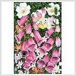 cross stitch pattern Foxgloves