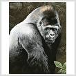 cross stitch pattern Great Ape (Crop)