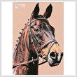 cross stitch pattern Horse Portrait