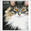 cross stitch pattern Kitty