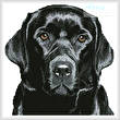 cross stitch pattern Mini Black Labrador