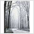 cross stitch pattern Mini Black and White Road through Trees