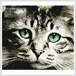 cross stitch pattern Mini Green Eyes