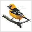 cross stitch pattern Oriole