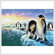 cross stitch pattern Penguins