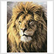 cross stitch pattern Portrait of a Lion