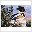 cross stitch pattern Red-Breasted Merganser