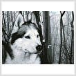 cross stitch pattern Siberian Husky in the Woods