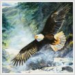 cross stitch pattern American Majesty (Crop)