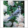 cross stitch pattern Blue Jay in Peonies (Crop)